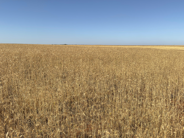 Faz. Tavares 122,50,00ha