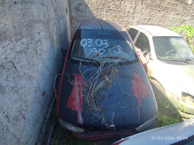 Fiat/Palio Edx – 97/97